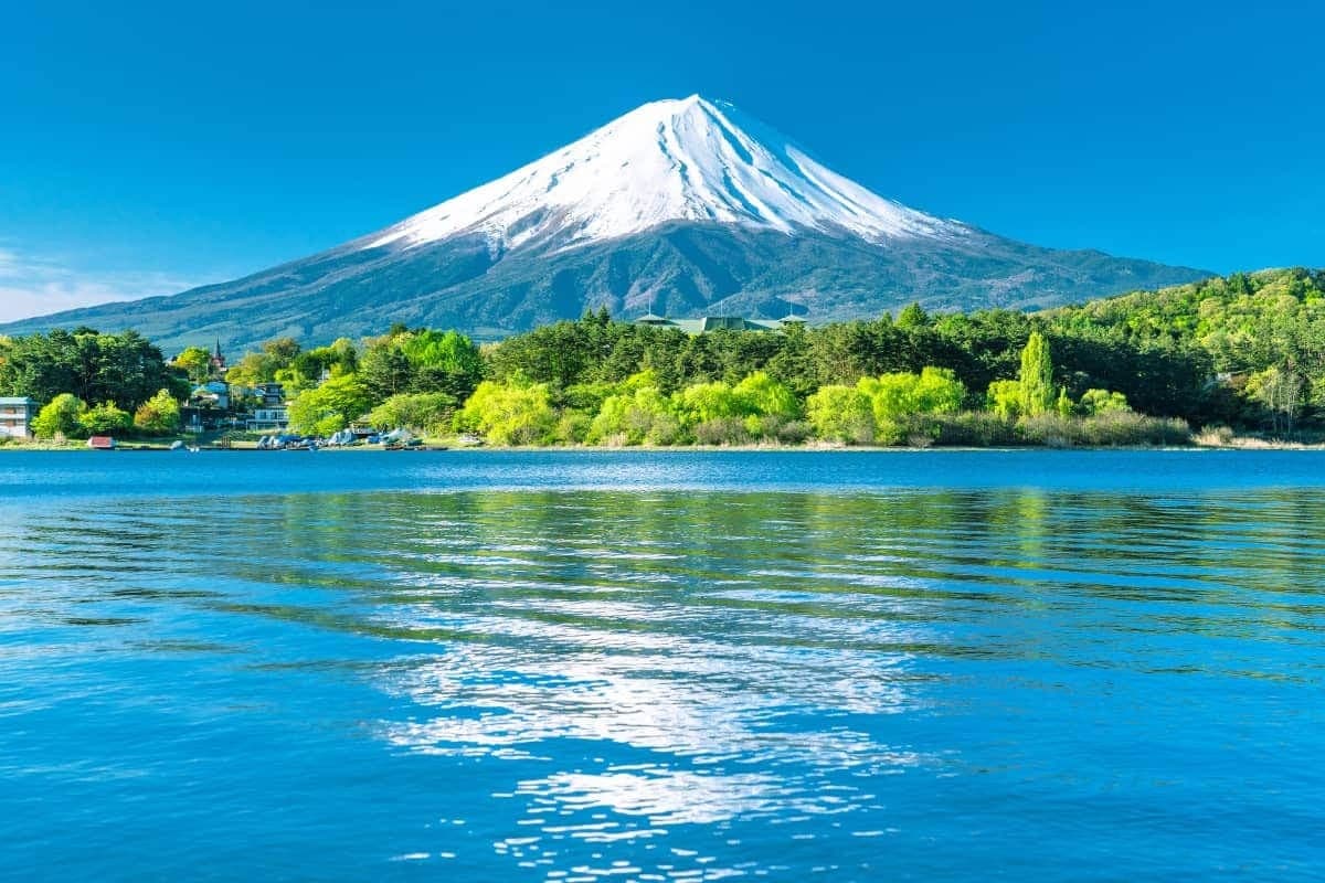 [No Shopping] Tour Nhật Bản 6N5Đ | Osaka - Kyoto - Nagoya - Yamanashi - Tokyo