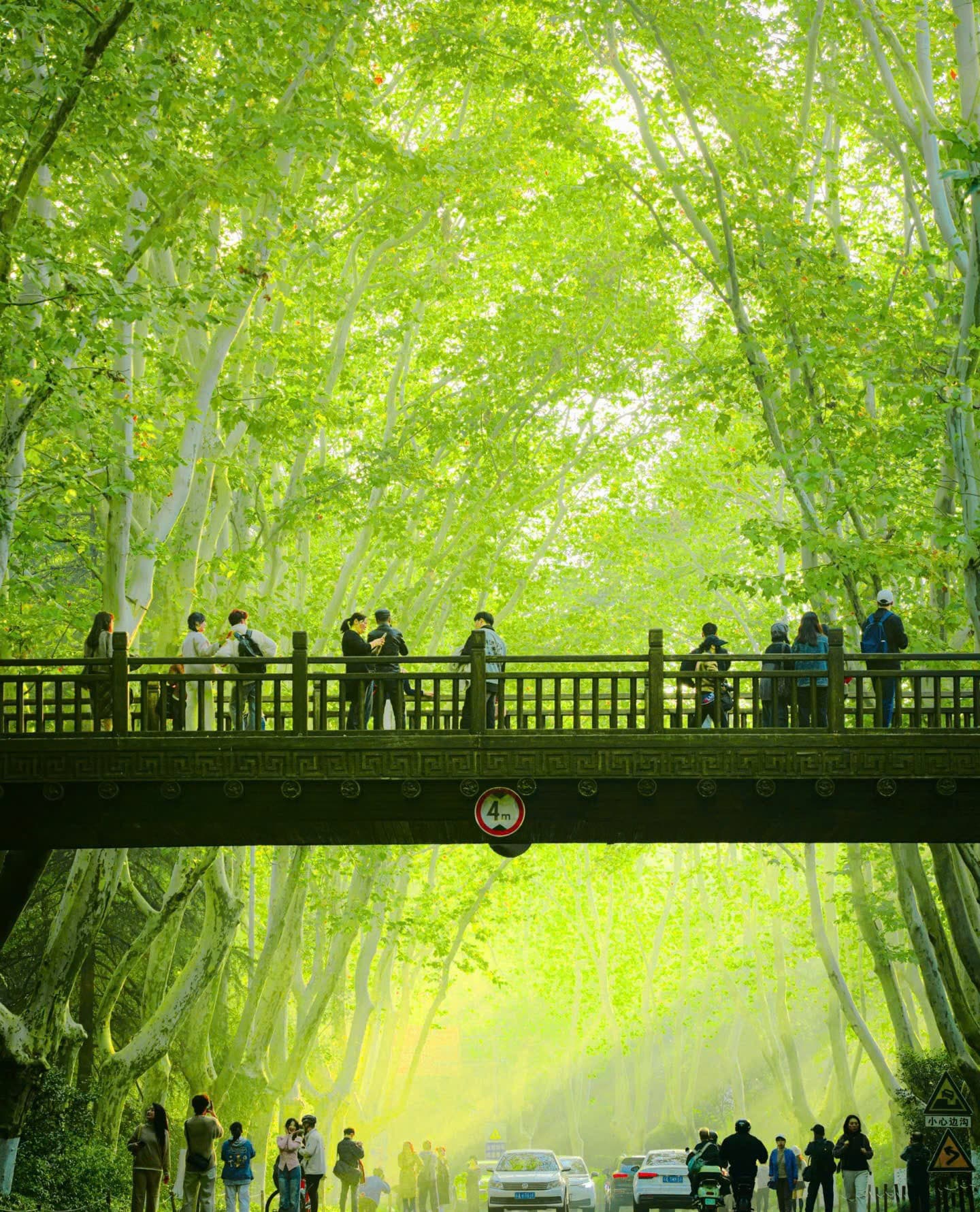 [No Shopping] Tour Trung Quốc 5N4Đ | Thượng Hải Mono - Ngủ 1 đêm Ô Trấn - Nam Kinh