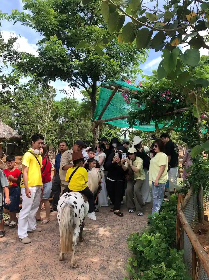 QUÝ ĐOÀN KHÁCH SẠN ĐỒNG KHÁNH - 3N2Đ HÀNH TRÌNH "MÙA HÈ RỰC RỠ" NGHỈ DƯỠNG VÀ GẮN KẾT TRỌN VẸN TẠI BIỂN XANH MŨI NÉ