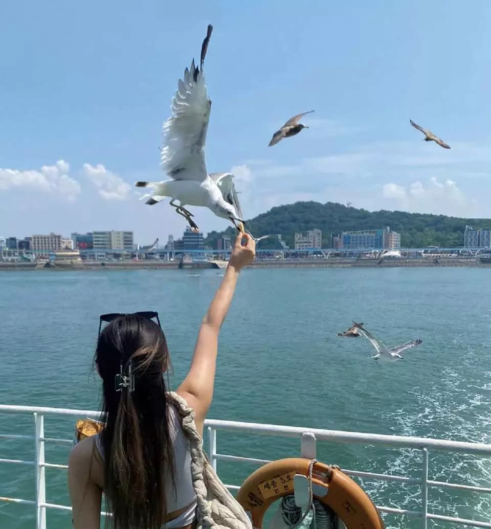 Hình ảnh tour