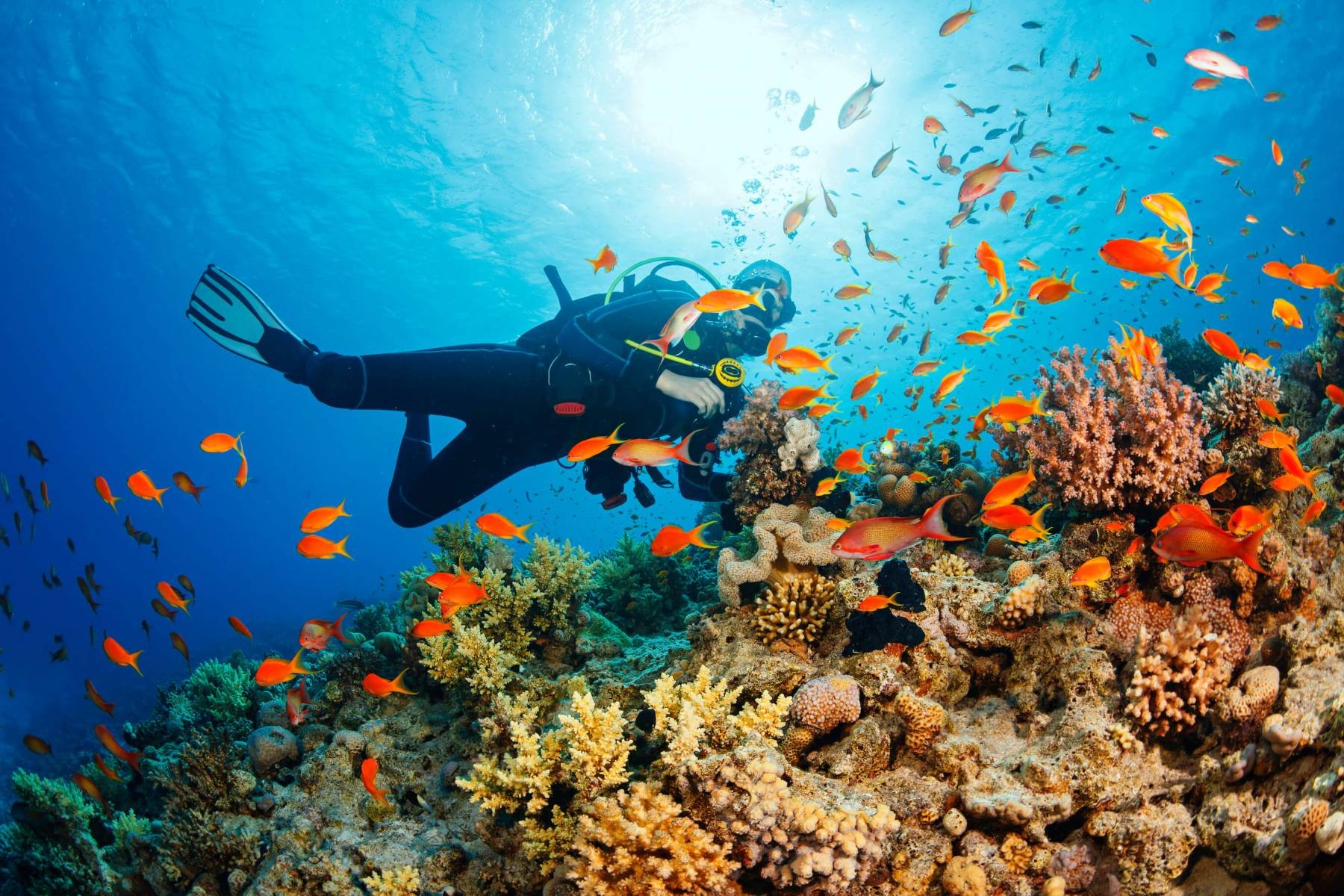 snorkeling-diving-spots-in-phu-quoc-1650424572.jpg