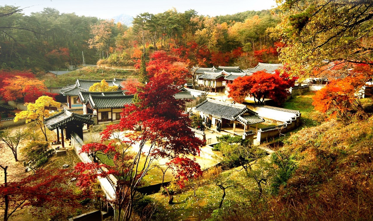Du lịch Hàn Quốc mùa nào đẹp - Mùa thu mùa lý tưởng du lịch