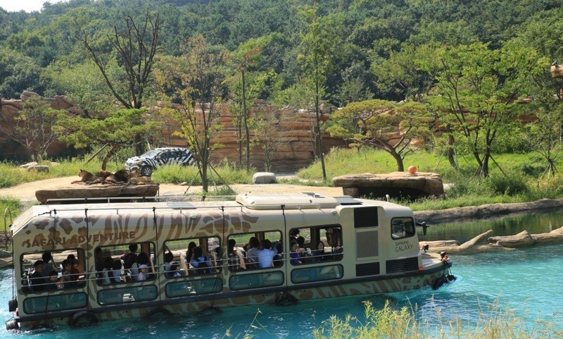  Xe buýt Lost Valley đưa du khách đi qua dòng sông nhân tạo