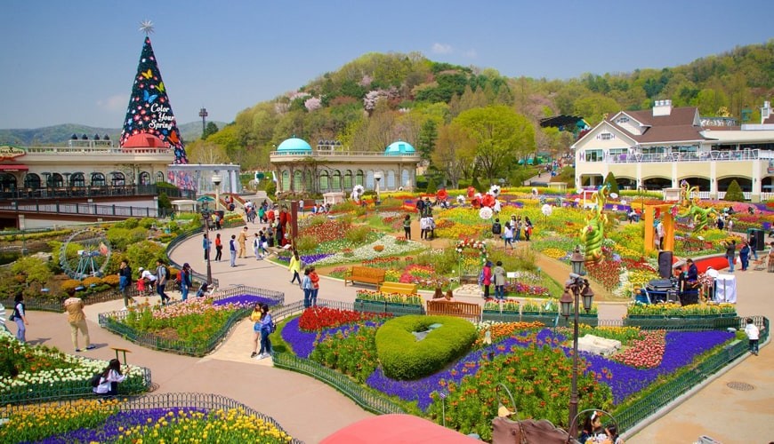 Everland - Công viên giải trí hàng đầu Hàn Quốc