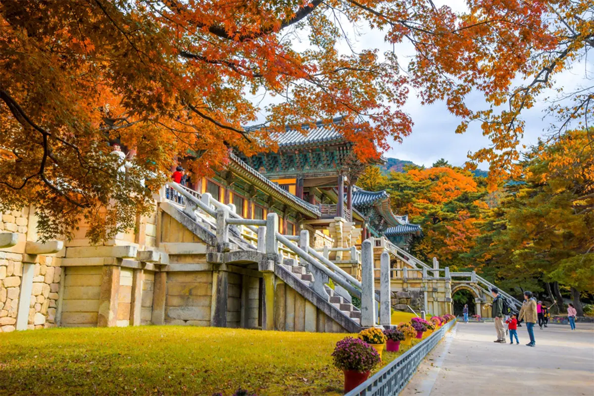 Gyeongju từng là cố đô của Vương quốc Silla