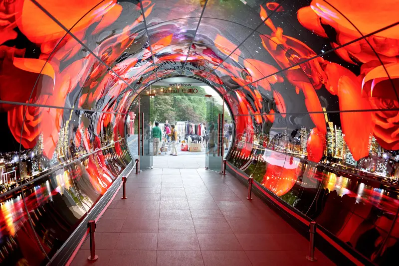 Màn hình Ánh sáng OLED Tunnel