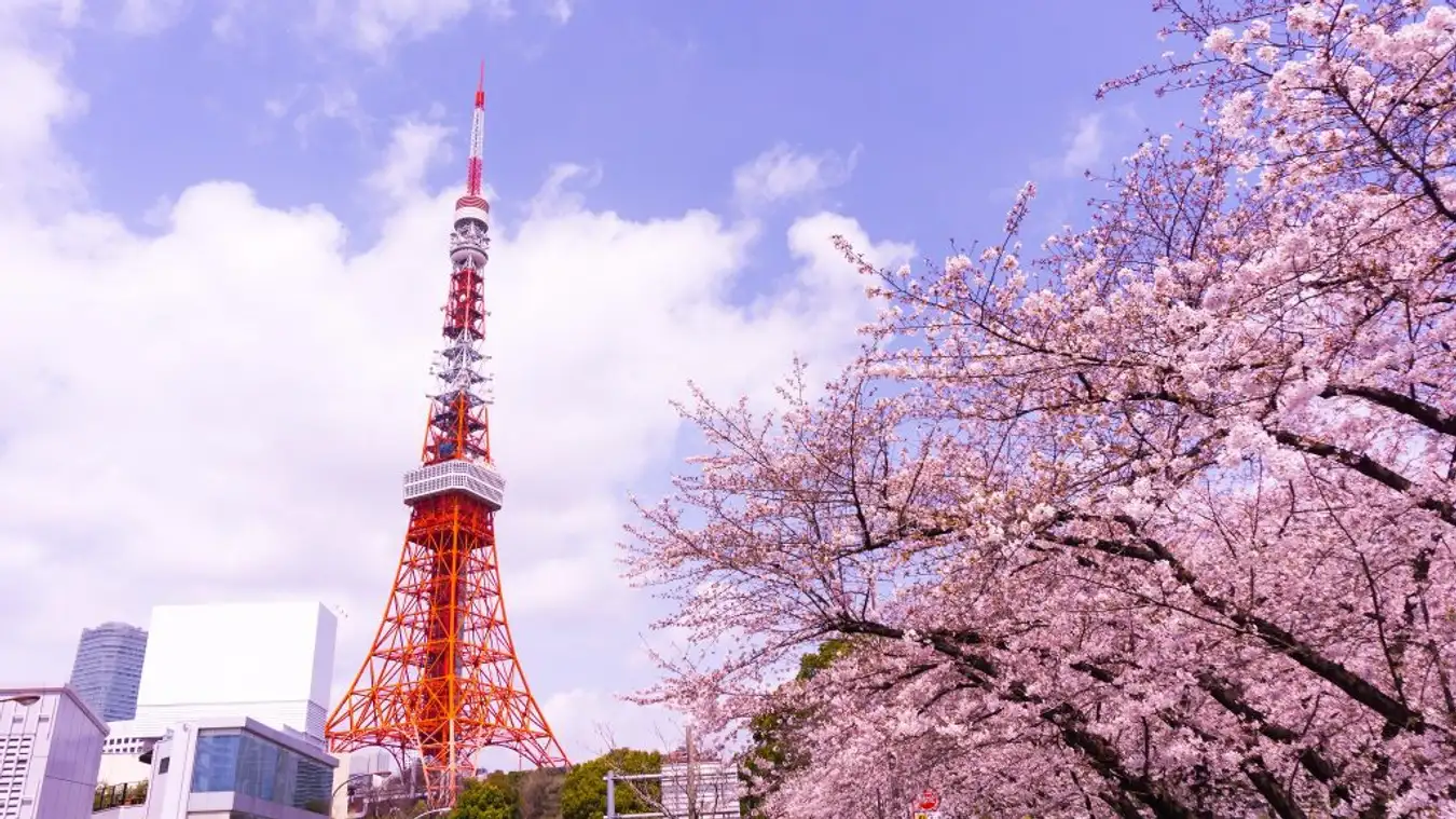 Tháp Tokyo Tower 