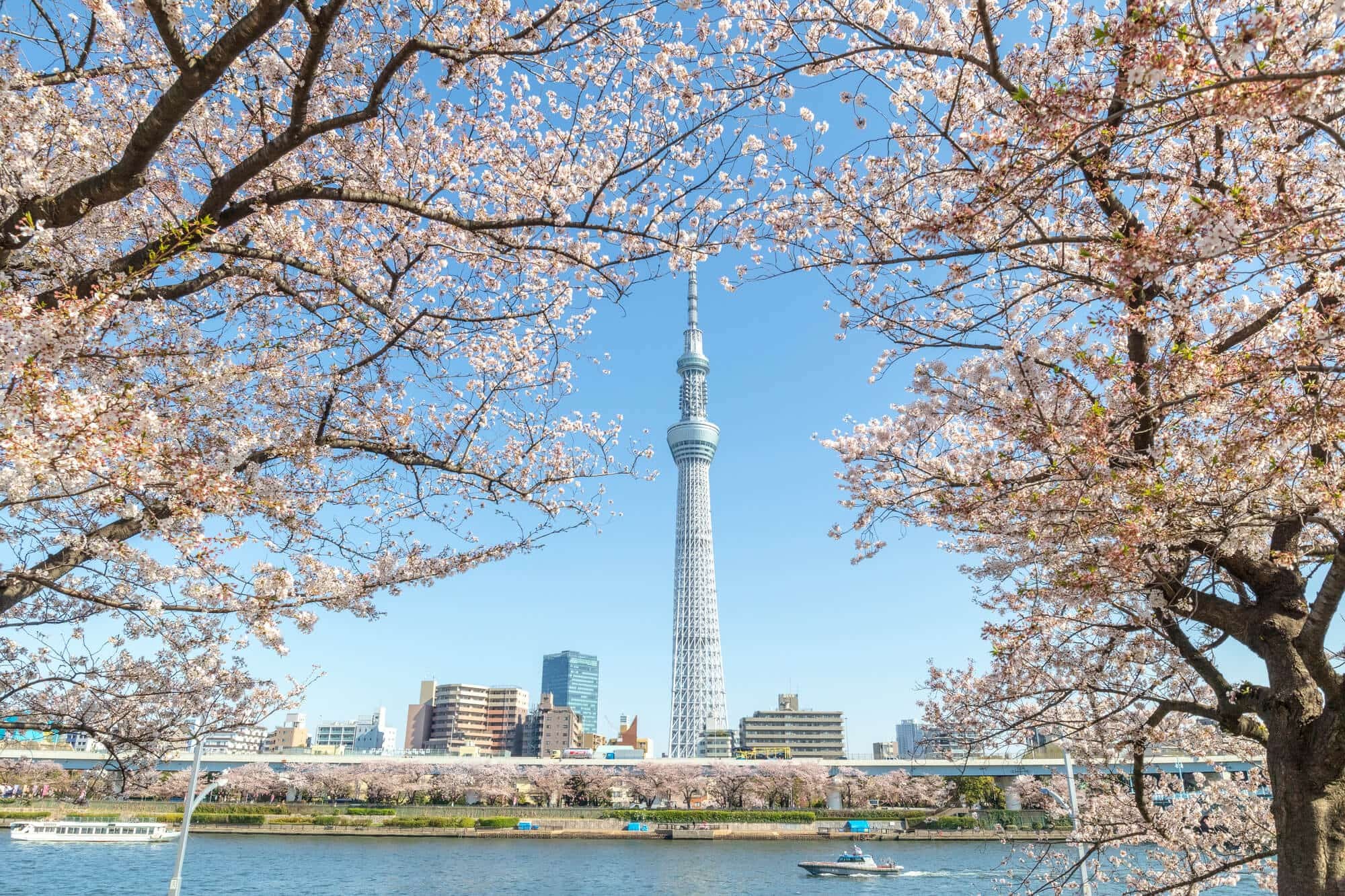 Chiêm ngưỡng vẻ đẹp ngoạn mục của Tokyo Sky Tree 