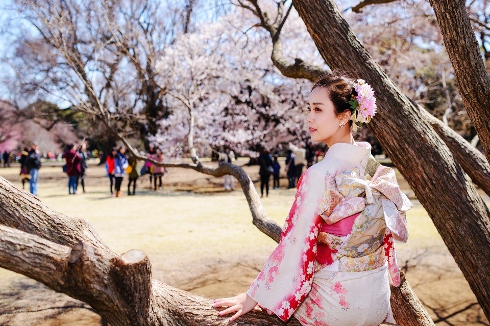 Trang phục phù hợp du lịch Nhật Bản mùa hoa anh đào