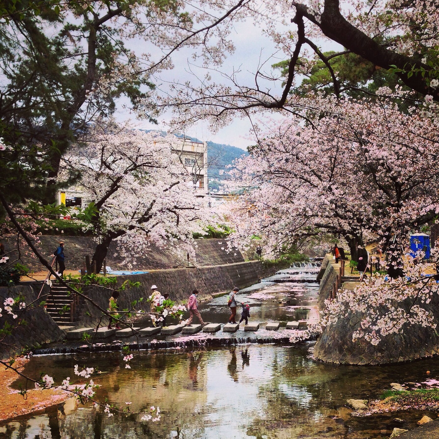 Thành phố Kobe - Địa điểm ngắm hoa đẹp nhất tại công viên Egeyama