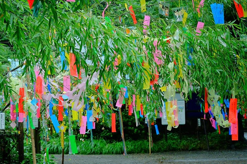 Lễ hội Tanabata Matsuri 