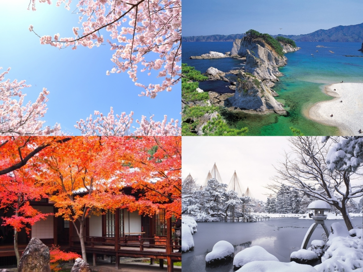 Khí hậu Nhật Bản được phân chia 4 mùa rõ rệt 