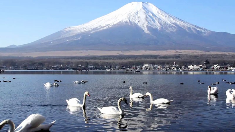 Núi Phú Sĩ được bao phủ một màu trắng xóa vào mùa đông