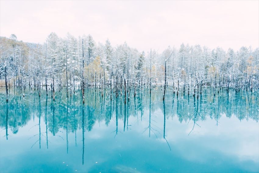 Mùa đông bên Hồ xanh Biei 
