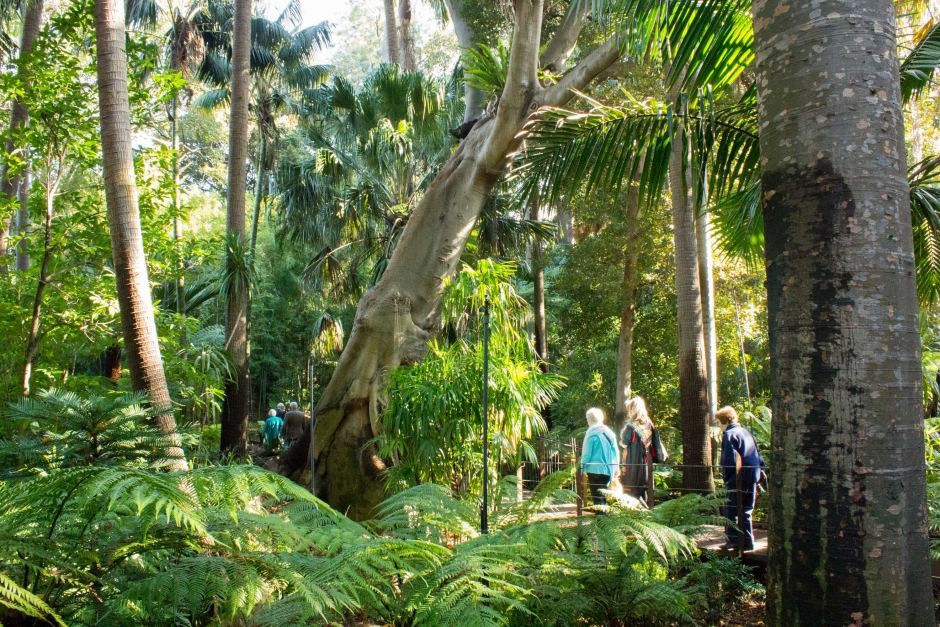 Vườn thực vật ở Sydney đẹp nhất và nổi tiếng nhất thế giới