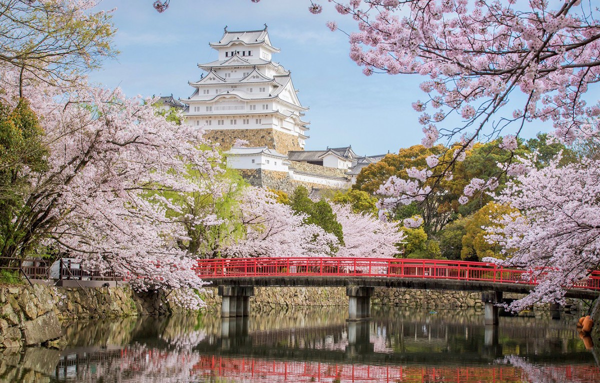 Mùa xuân - thời điểm ngắm lâu đài Osaka đẹp nhất