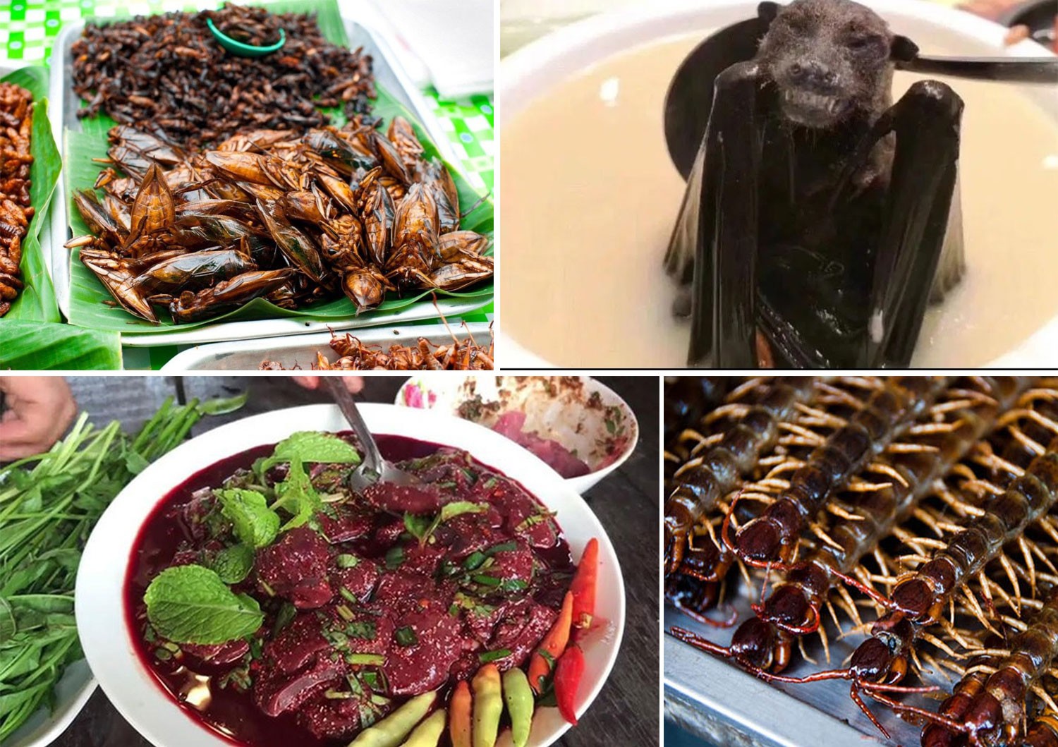 Những món ăn độc lạ ở miền Đông Bắc Thái Lan