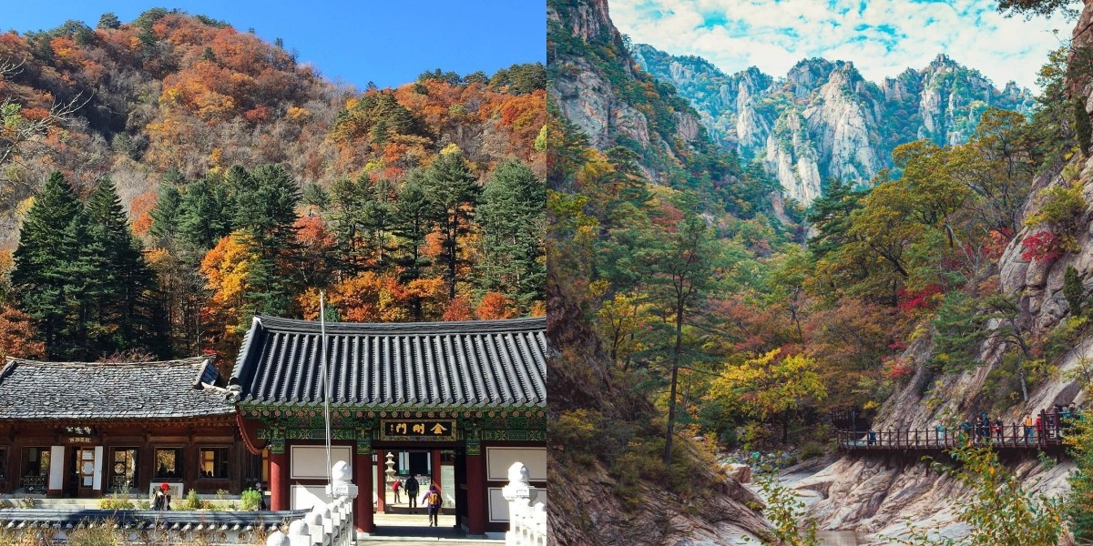 Thưởng ngoạn mùa lá đỏ Hàn Quốc tại núi Seoraksan