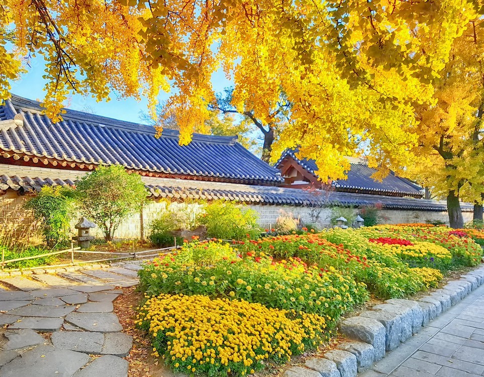 Khung cảnh mùa thu bình yên ở Làng Hanok Jeonju