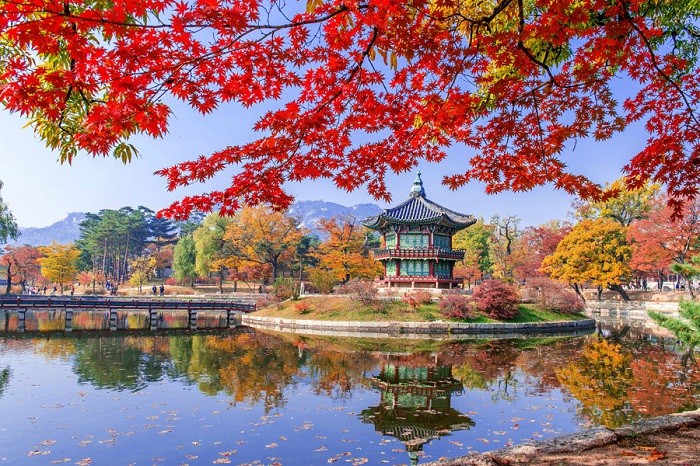 Vẻ đẹp mùa thu bình yên của cung điện Gyeongbokgung