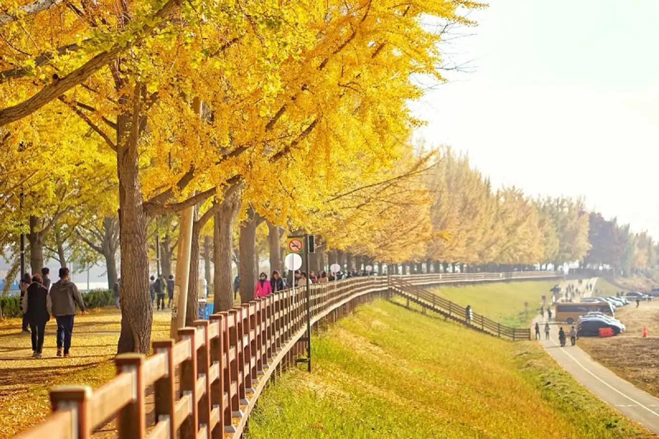 Du lịch mùa thu Hàn Quốc 