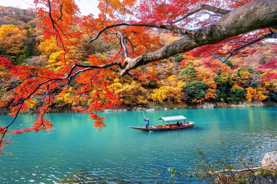Ngỡ ngàng vẻ đẹp lãng mạn mùa thu trên đảo Jeju