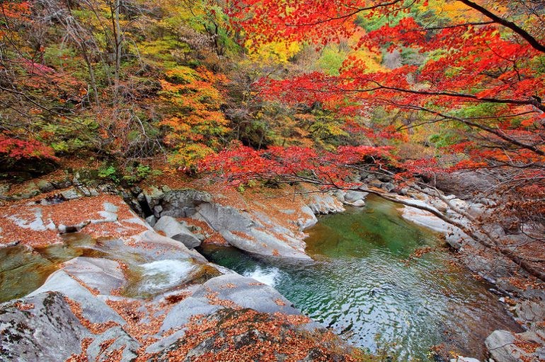 Vườn quốc gia Jirisan - điểm ngắm lá phong đỏ rực rỡ đẹp nhất