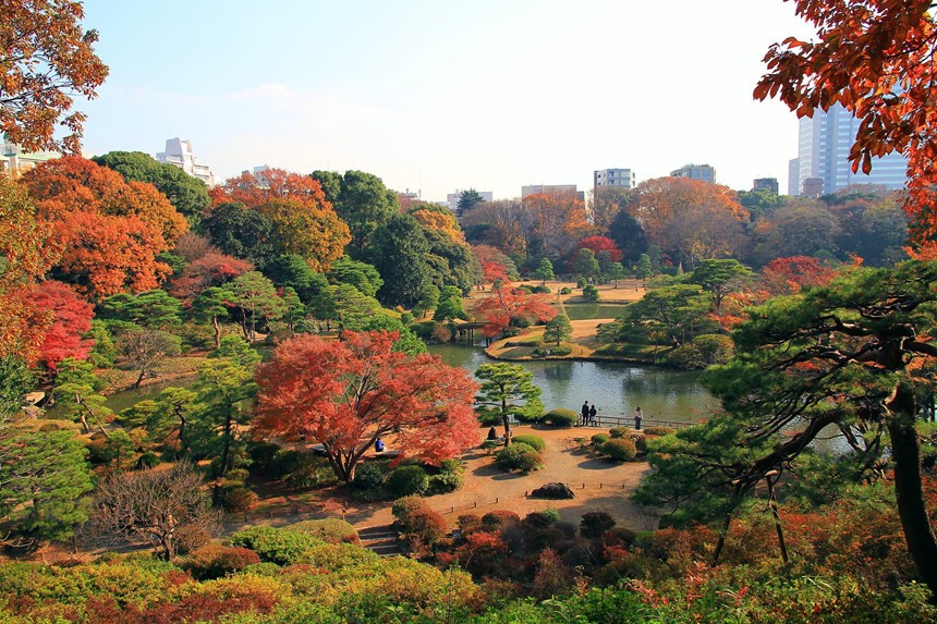Vườn Rikugien - Điểm đến tuyệt vời để tận hưởng mùa thu Nhật Bản