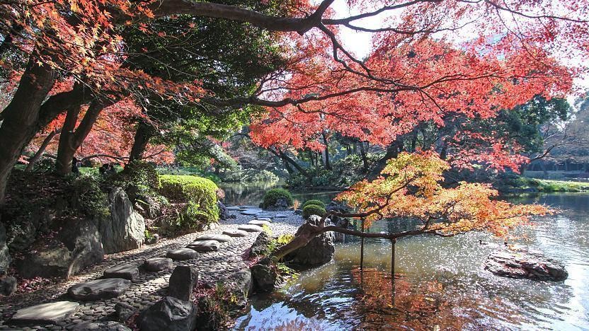 Vườn Koishikawa Korakuen 