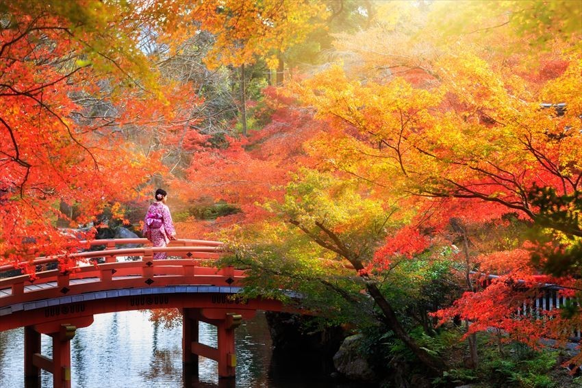 Cố đô Kyoto - điểm ngắm mùa thu lãng mạn ở xứ Phù Tang