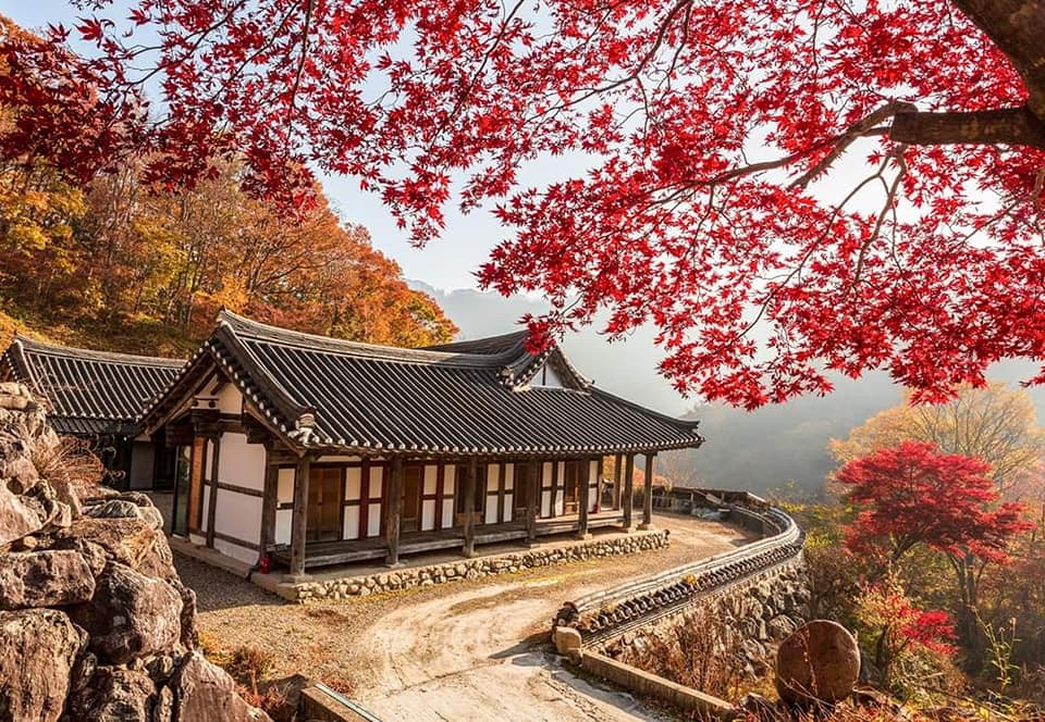 Mùa thu Nhật Bản - thời điểm lý tưởng để khám phá xứ Phù Tang