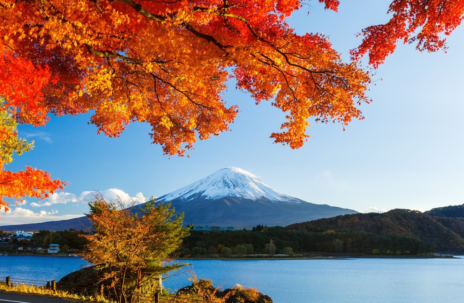 Vẻ đẹp mùa thu lãng mạn từ núi Phú Sĩ