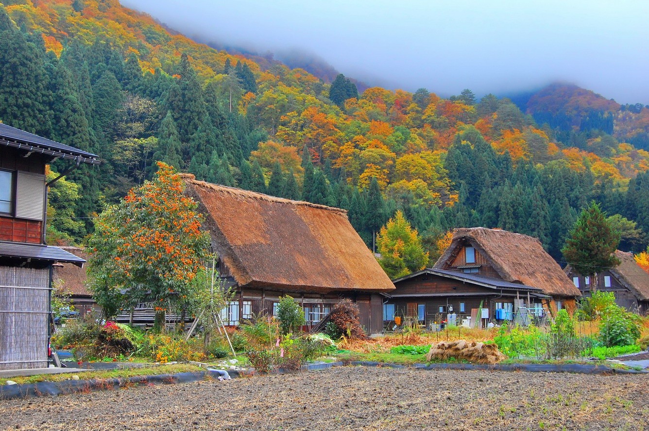 Làng Hida - Địa điểm check-in tuyệt đẹp khi Nhật Bản vào mùa thu