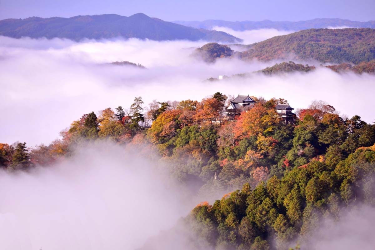 Tòa thành lững lờ trên mây Bitchu-Matsuyama huyền ảo vào mùa lá đỏ Nhật Bản