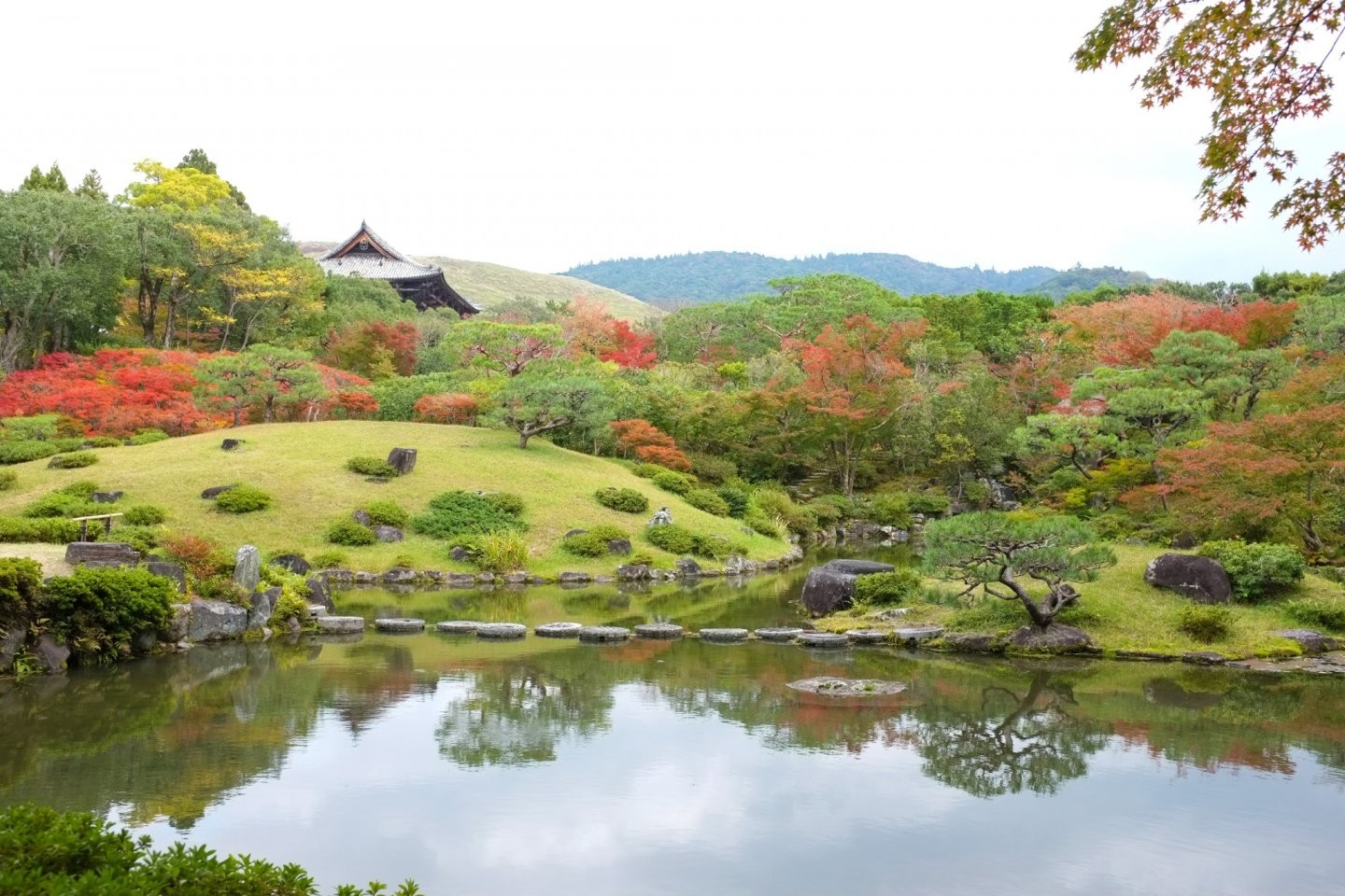 Thả mình vào bầu trời bình yên mang sắc thu dịu dàng tại vườn Isui tỉnh Nara