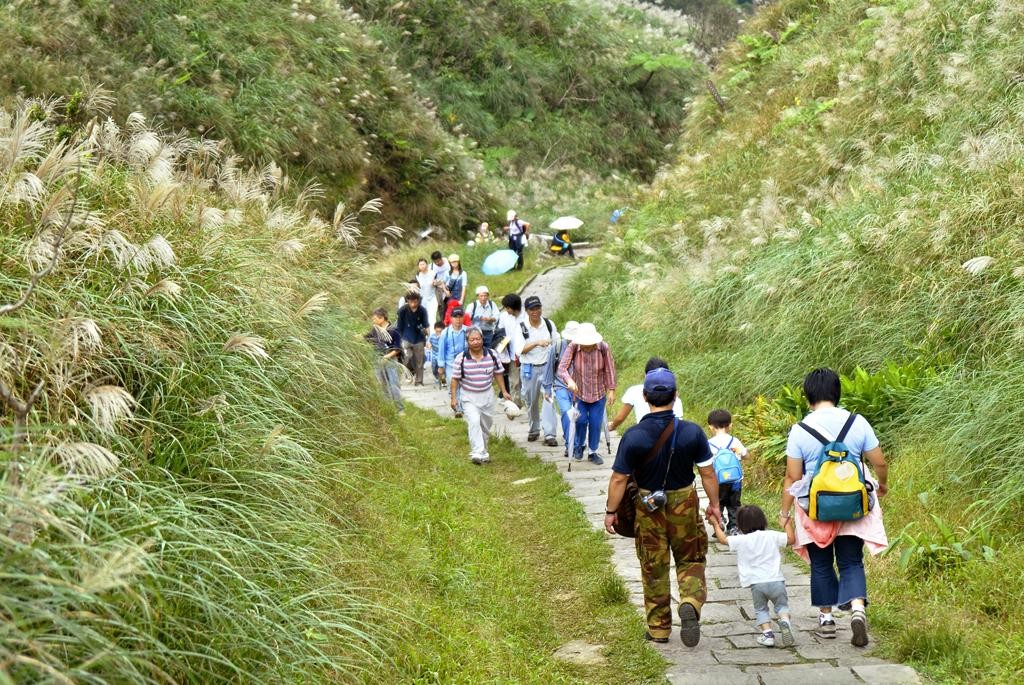 Mùa thu Đài Loan ở đường mòn Cao Lĩnh cỏ bông lau nở trắng ngọn đồi