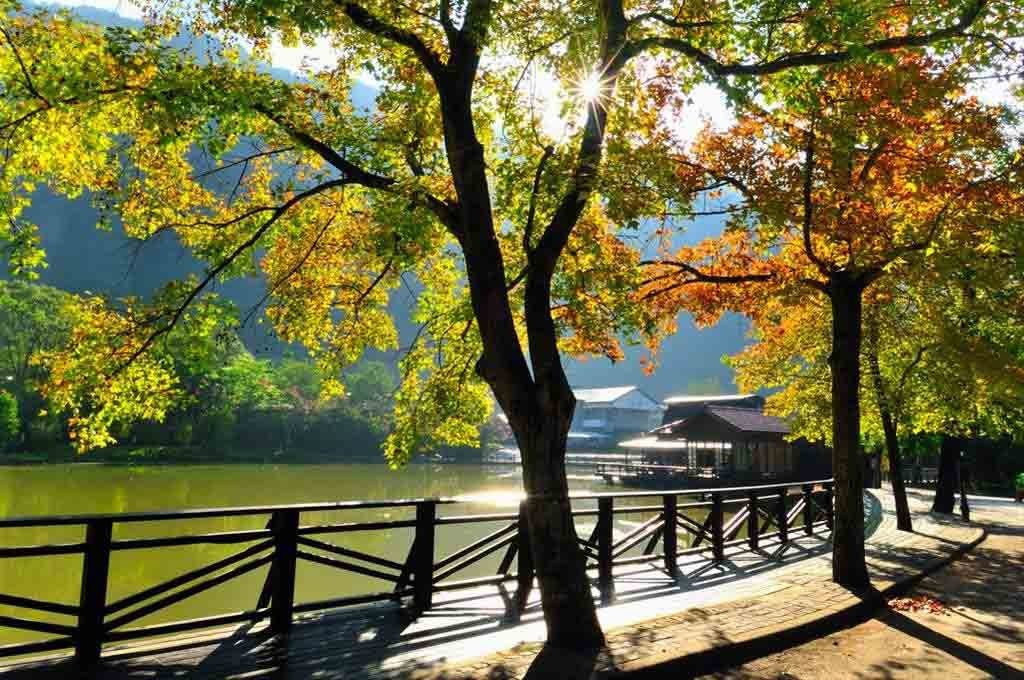 Vẻ đẹp bình yên vào mùa thu tại Che Cheng ở Đài Loan