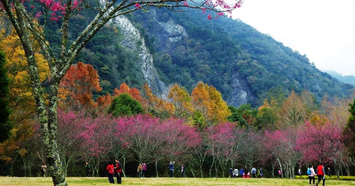 Khung cảnh thiên nhiên xinh đẹp ở Đài Loan vào mùa lá đỏ