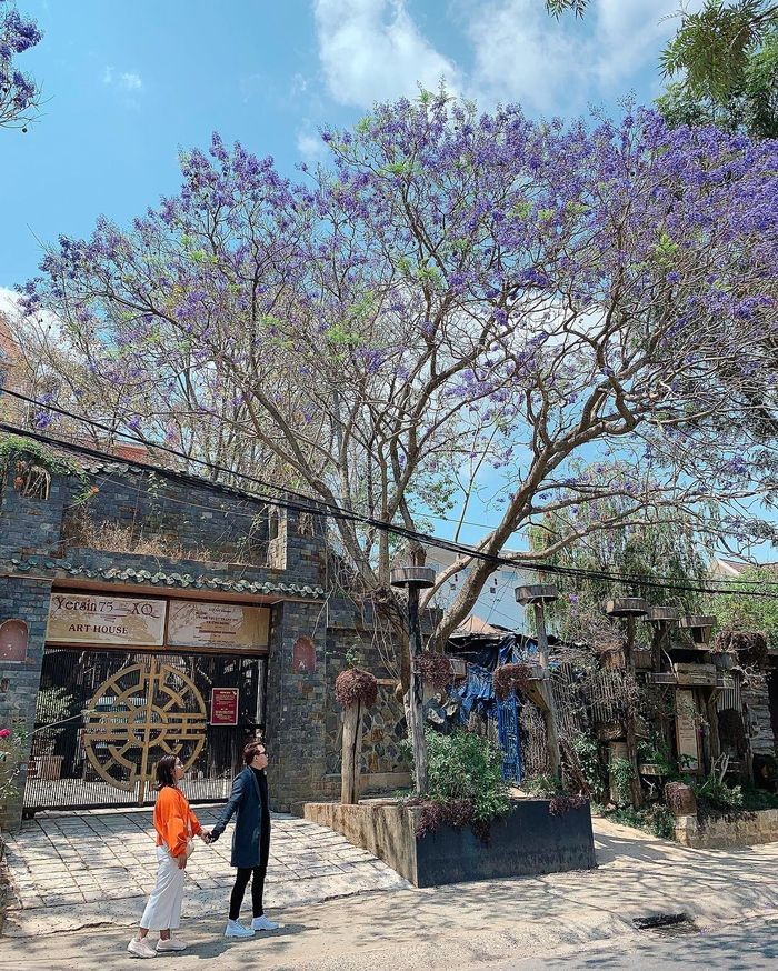 Đường Nguyễn Thị Minh Khai - địa điểm ngắm hoa phượng tím 