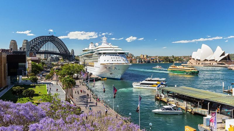 Cầu Cảng Sydney thơ mộng trong sắc tím 