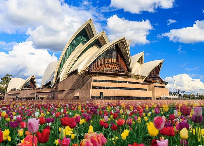 Ngắm nhìn kiến trúc độc đáo của nhà hát Opera Sydney trong sắc hoa rực rỡ