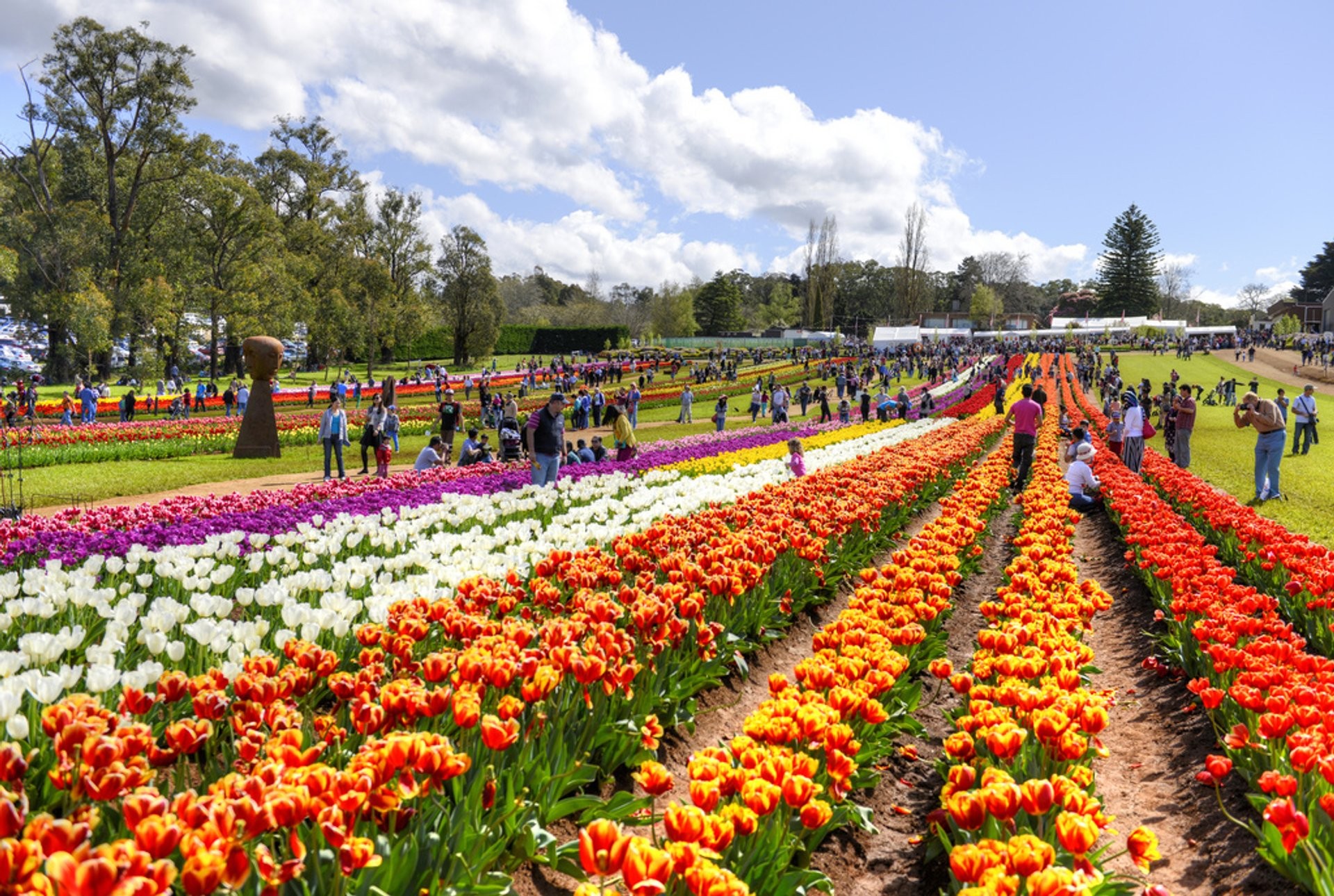 Du lịch Úc tháng 9 thưởng thức trăm ngàn hoa khoe sắc 