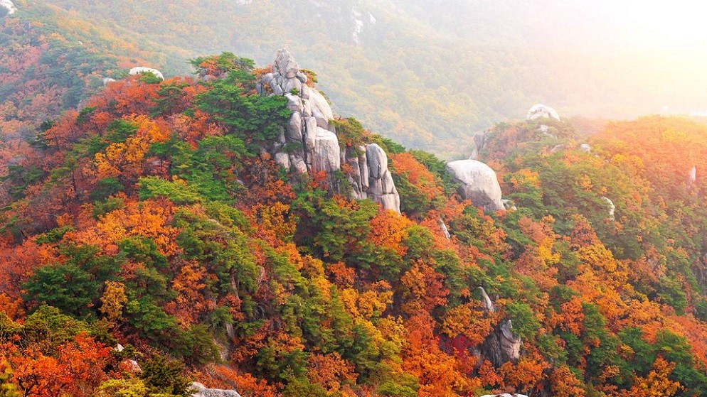 Khám phá vẻ đẹp mùa thu Hàn Quốc tại núi Bukhansan