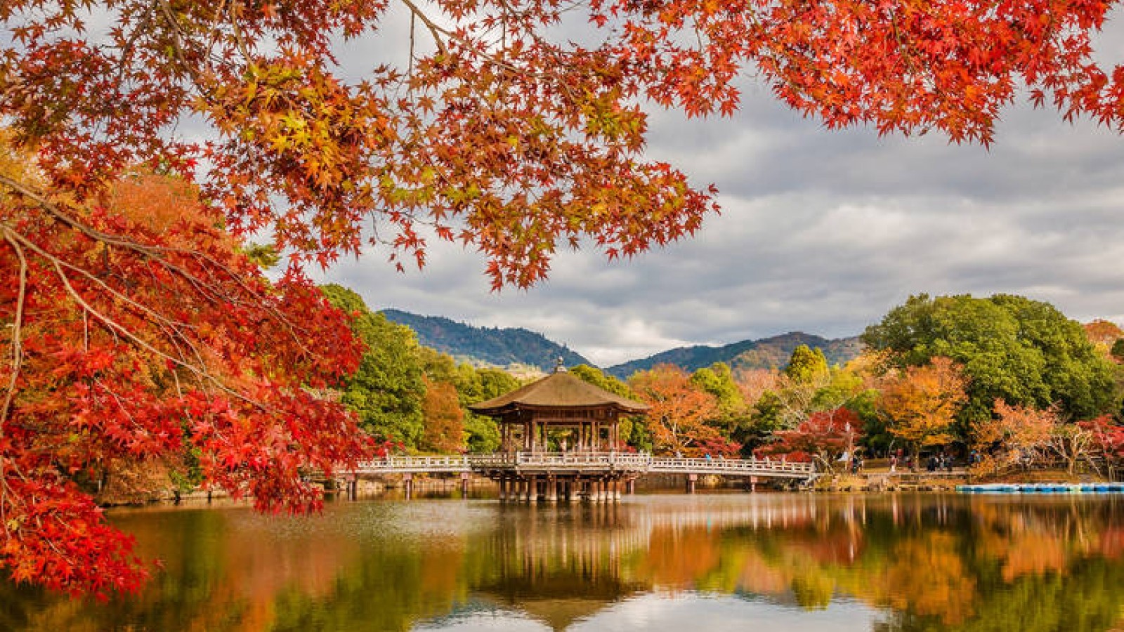 Cố đô Kyoto - điểm dừng chân bình yên trên Cùng Đường Vàng 