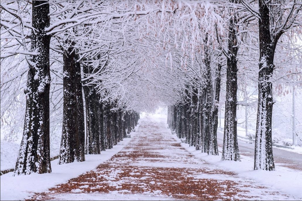 Tháng 1 là thời điểm Hàn Quốc lạnh nhất và tuyết rơi nhiều