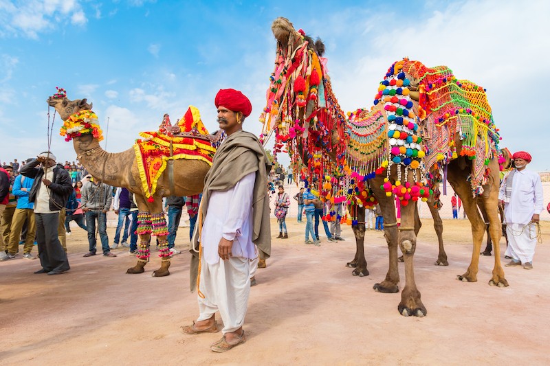 Lễ hội Pushkar Camel Fair