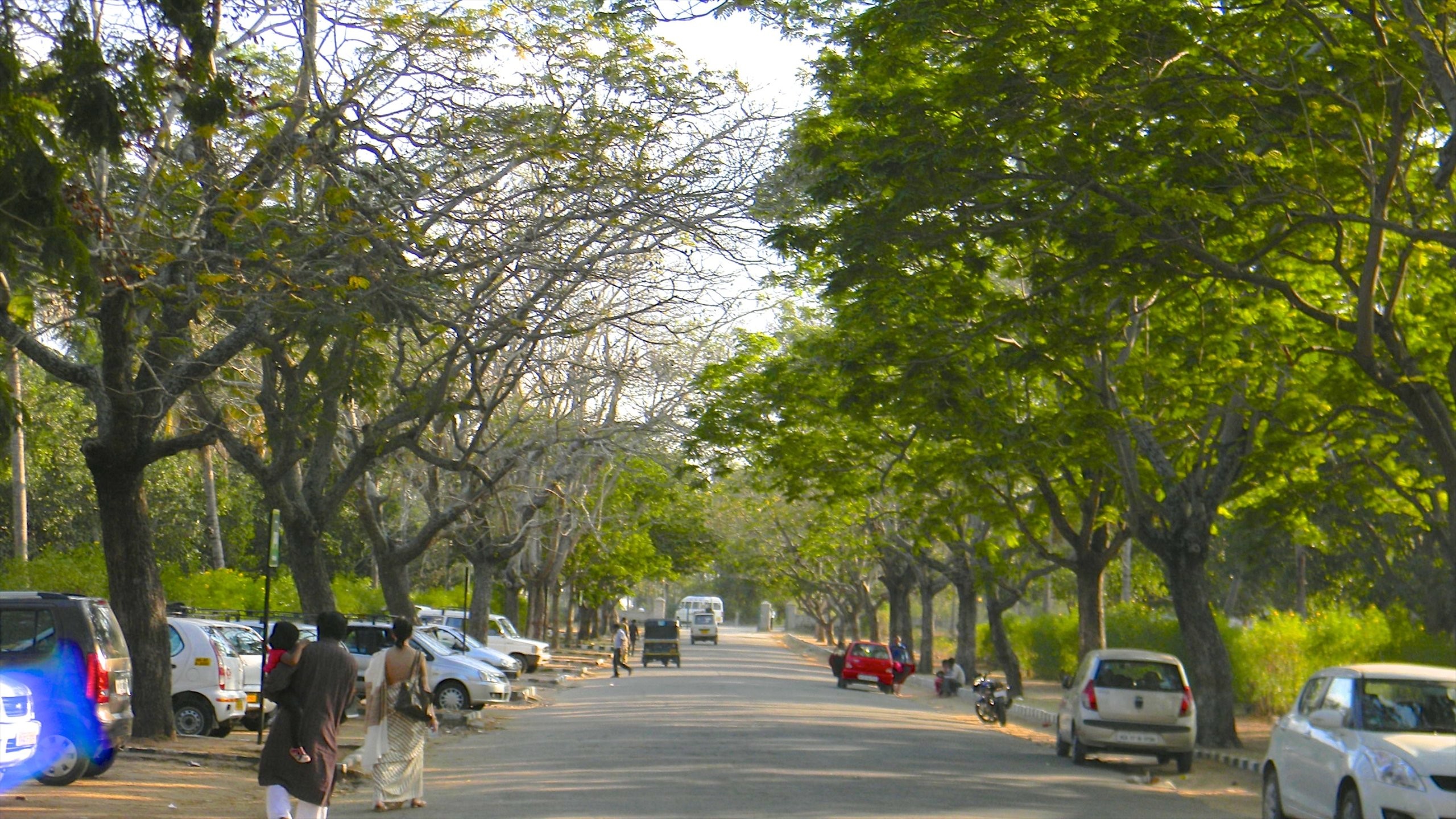 Thành phố Mysore, Ấn Độ 