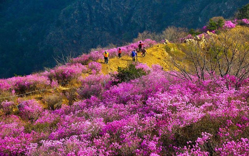 Đến Bhutan vào mùa xuân từ tháng 3 và tháng 4