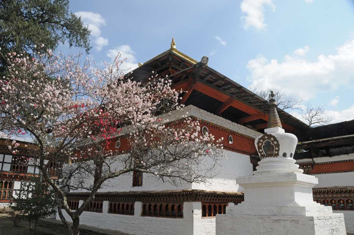  Thời điểm lý tưởng đến tham quan ngôi chùa Kyichu Lhakhang