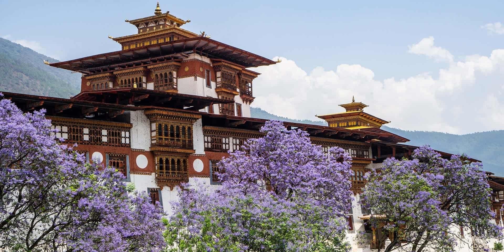 Thời điểm tuyệt vời nhất để tham quan Punakha Dzong